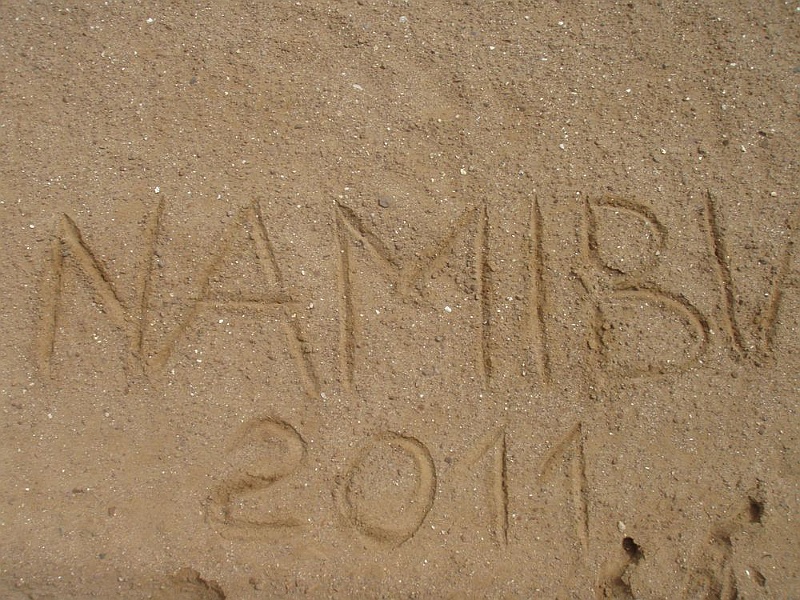 NAMIIA 2011 063.jpg